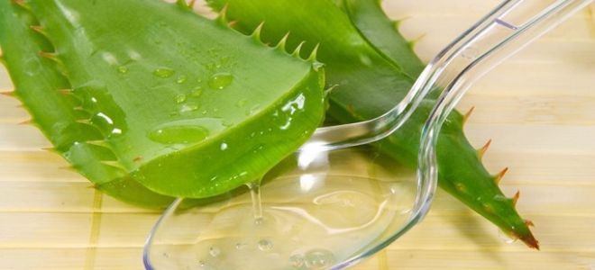 Грибок на руках: симптомы и эффективное лечение