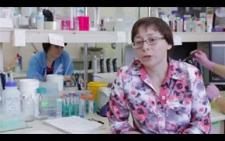 Стафилококковый бактериофаг: показания и способ применения препарата
