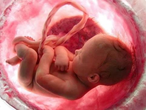 Внутриутробная инфекция у новорожденного ребенка: причины, последствия