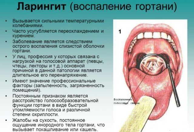 Стафилококк во рту: проявления, вызываемые заболевания, лечение