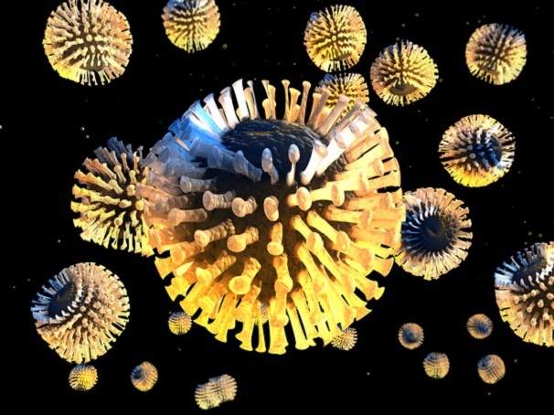 Ротавирус и энтеровирус: чем опасны, как отличить по симптомам