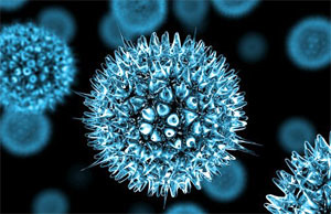 Цитомегаловирус: igg антитела обнаружены, что это значит