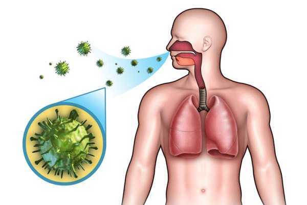 Стрептококк в носу: симптомы, диагностика и лечение