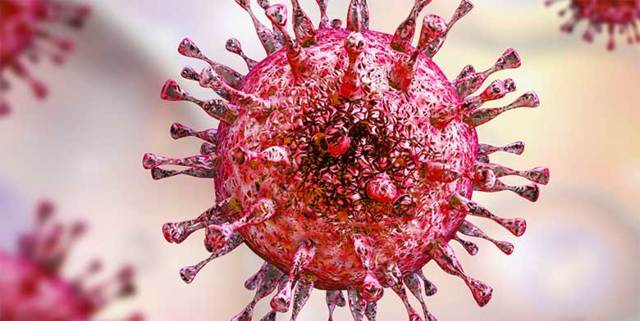 Авидность антител к цитомегаловирусу: что это такое и зачем определять