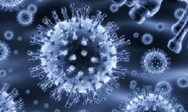 Ротавирусная инфекция: лечение и симптомы болезни