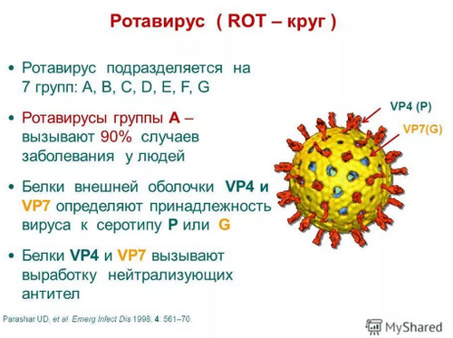 Ротавирус без поноса: кто подвержен заболеванию, ведущие симптомы