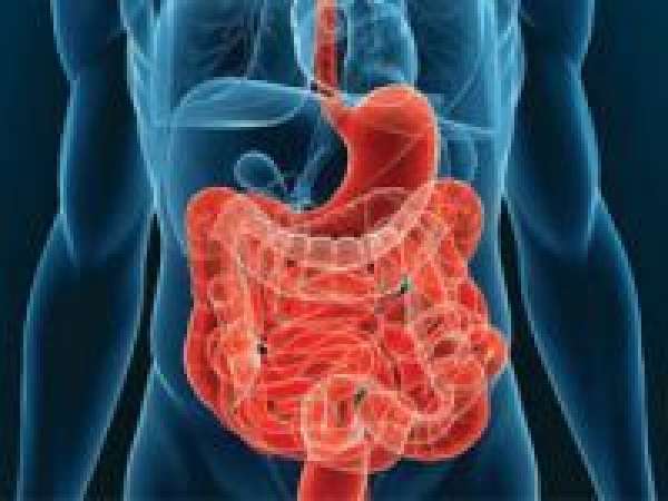 Золотистый стафилококк в кишечнике: симптомы, опасности, лечение
