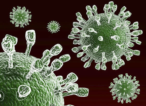 Ротавирусная инфекция: сколько длится каждая стадия