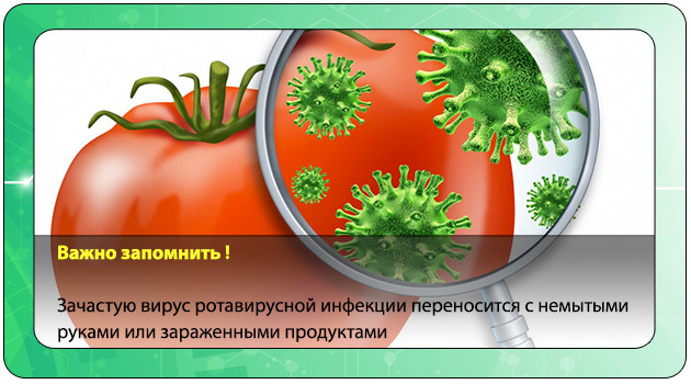 Ротавирус: инкубационный период и особенности его протекания