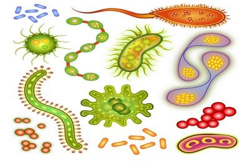 Антибиотики при половых инфекциях: основные группы, характеристика