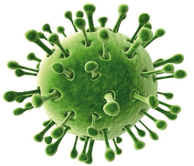 Чем лечить ротавирусную инфекцию у взрослых: диета и лекарства