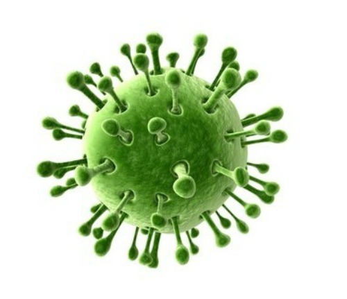 Ротавирусная инфекция: лечение у детей, симптомы и препараты