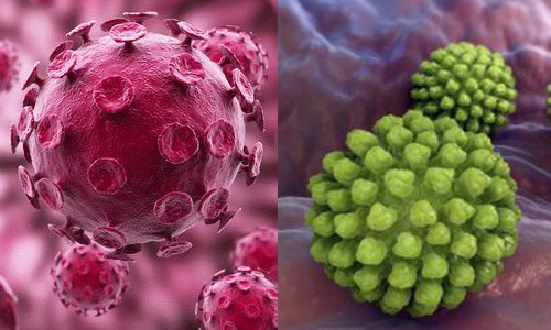 Ротавирус и энтеровирус: чем опасны, как отличить по симптомам