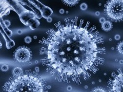 Как отличить ротавирус от отравления: характерные признаки патологий