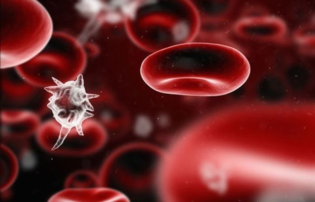 Цитомегаловирус: норма в крови и другие аспекты диагностики