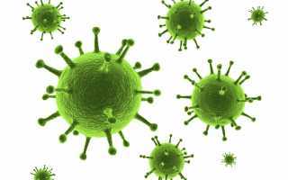 Как отличить ротавирус от отравления: характерные признаки патологий