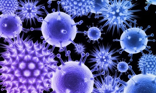Ротавирус: иммунитет, особенности его формирования
