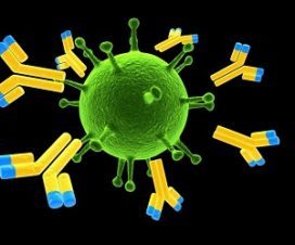 Цитомегаловирус в мазке: что это значит и зачем его определяют
