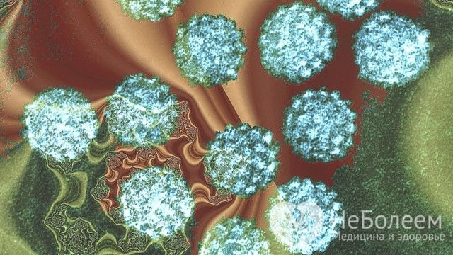 Вирус папилломы человека - что это такое и как его лечить?