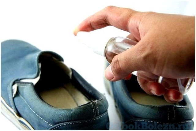 Чем обработать обувь от грибка ногтей и стопы - сушка для обуви противогрибковая